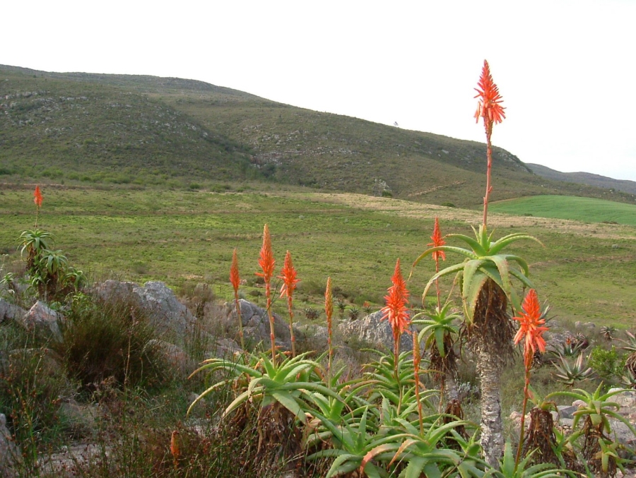 2 Bedroom Property for Sale in Swellendam Rural Western Cape